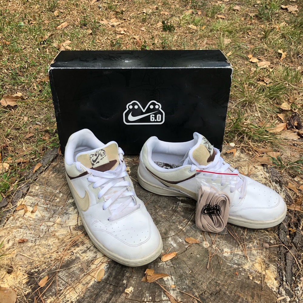 Nike 6.0 Zoom Air Cush Skate Shoe